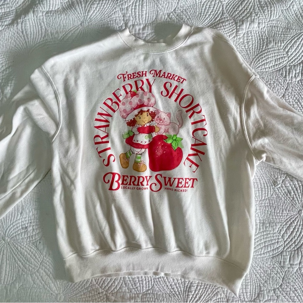 Vintage Strawberry Short Cake Double Sided Light Soft Sweater Coquette